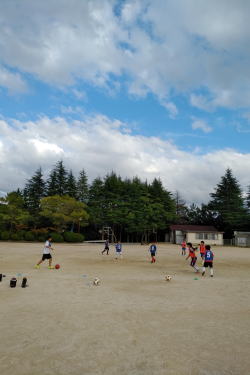 �����񍐎ʐ^